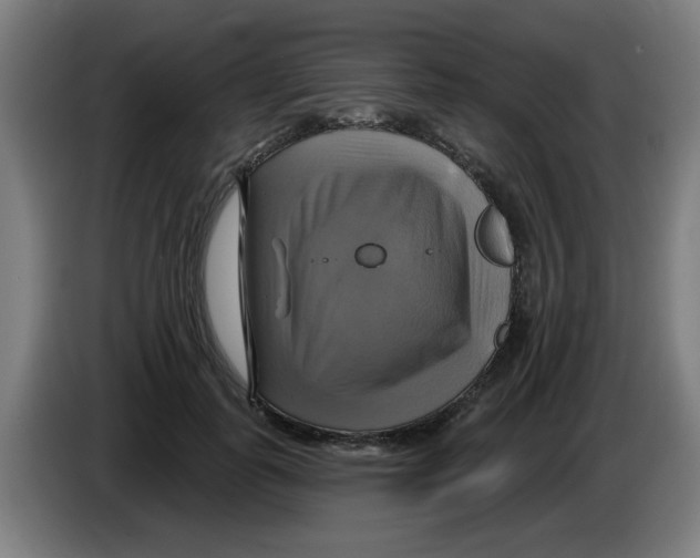 X0000086220747200704261836