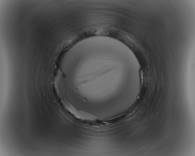 X0000086220748200704261836