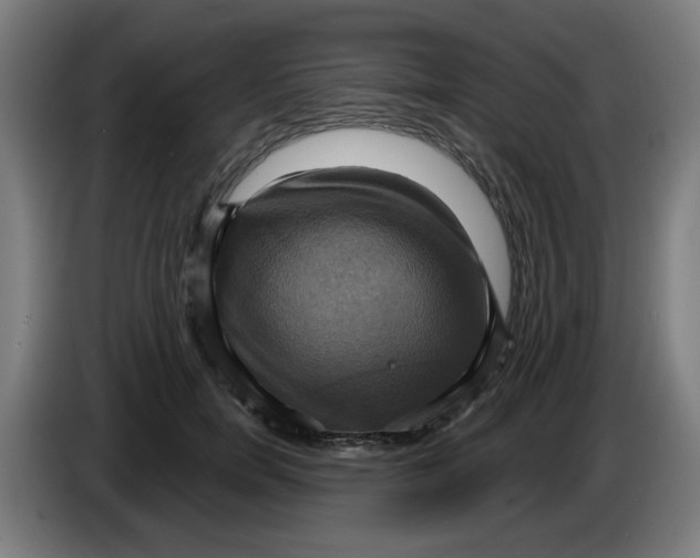 X0000086220750200704261836