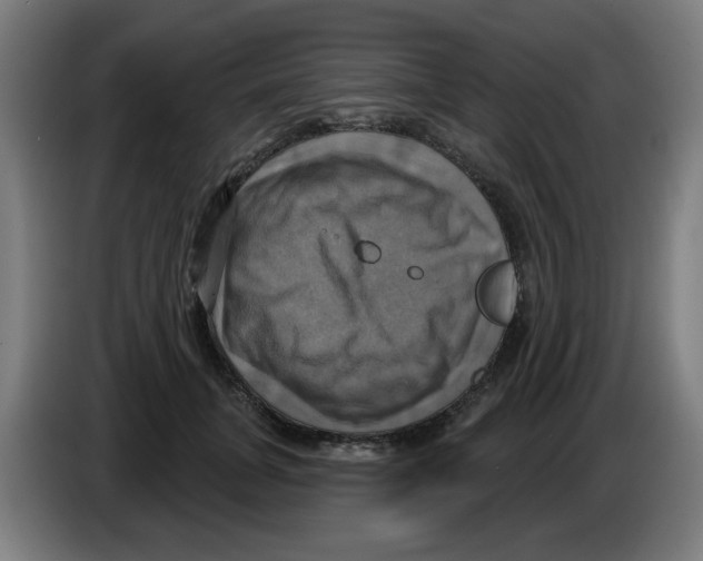 X0000086220751200704261836