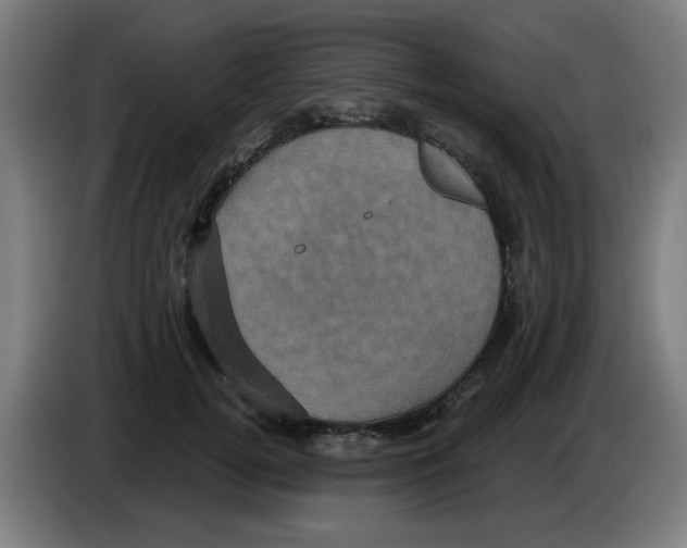 X0000086220752200704261836