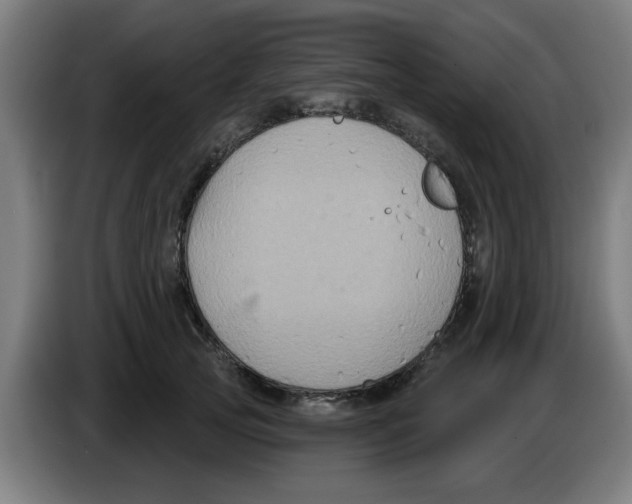 X0000086220753200704261836