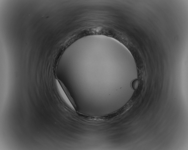 X0000086220754200704261836