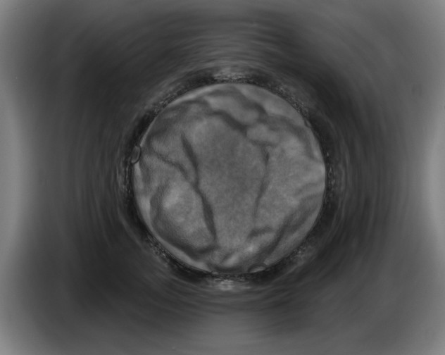 X0000086220755200704261836