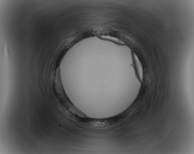 X0000086220756200704261836