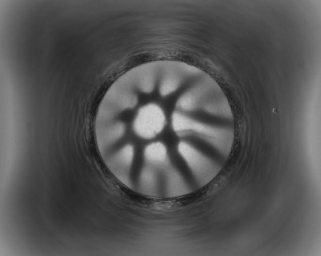 X0000086220757200704261836