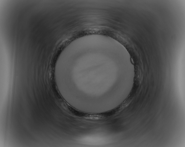 X0000086220758200704261836