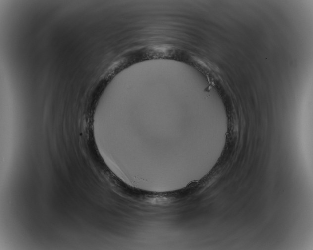 X0000086220759200704261836