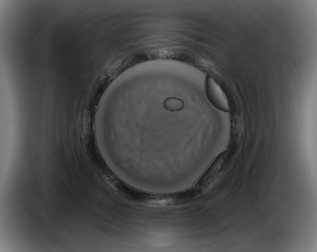 X0000086220760200704261836