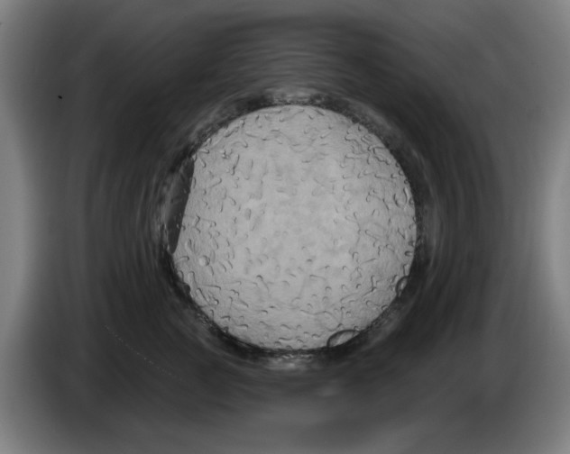 X0000086220761200704261836