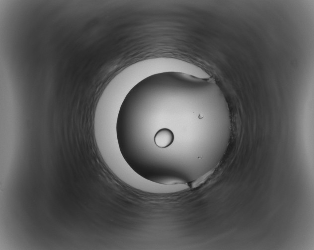 X0000086220762200704261836