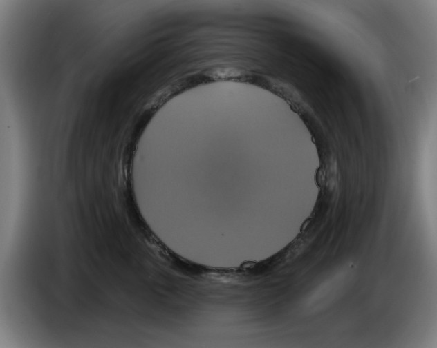 X0000086220763200704261836