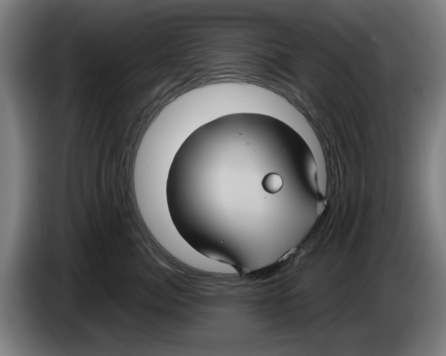 X0000086220764200704261836