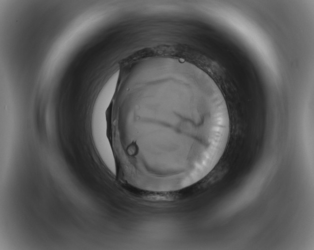 X0000086220765200704261836