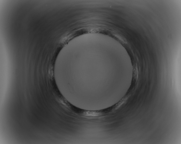 X0000086220766200704261836