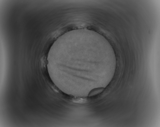 X0000086220768200704261836