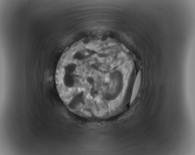 X0000086220771200704261835