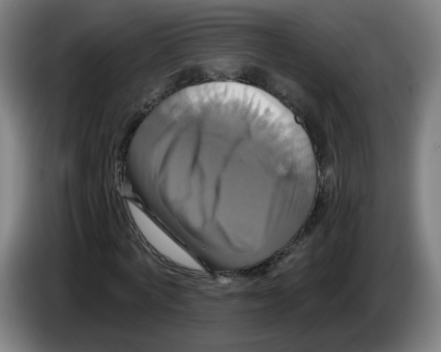 X0000086220772200704261835