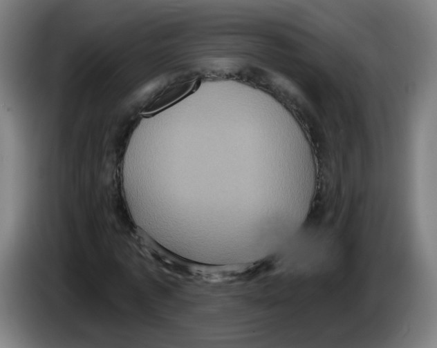 X0000086220773200704261835