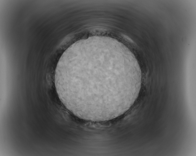 X0000086220774200704261835