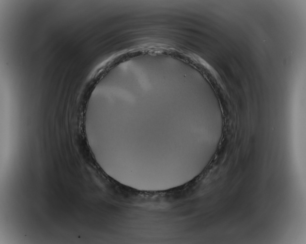 X0000086220775200704261835