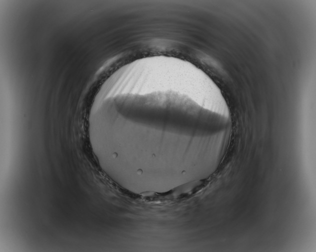 X0000086220776200704261835