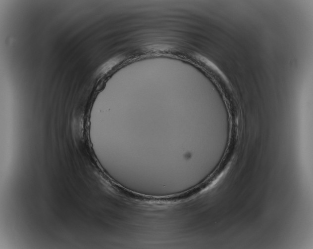 X0000086220777200704261835