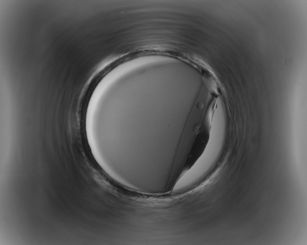 X0000086220779200704261835