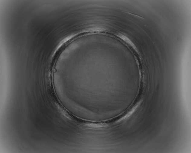 X0000086220781200704261835