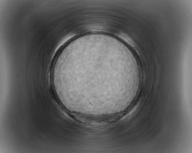 X0000086220782200704261835