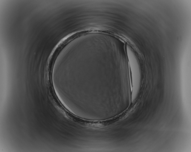 X0000086220784200704261835