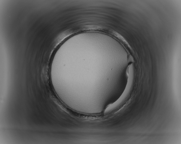 X0000086220786200704261835