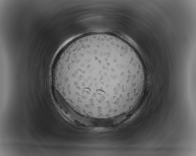 X0000086220787200704261835