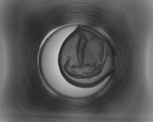 X0000086220788200704261835