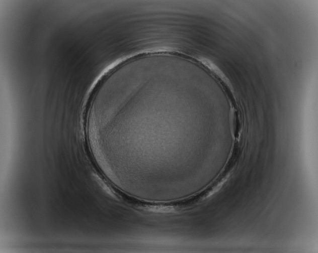 X0000086220789200704261835