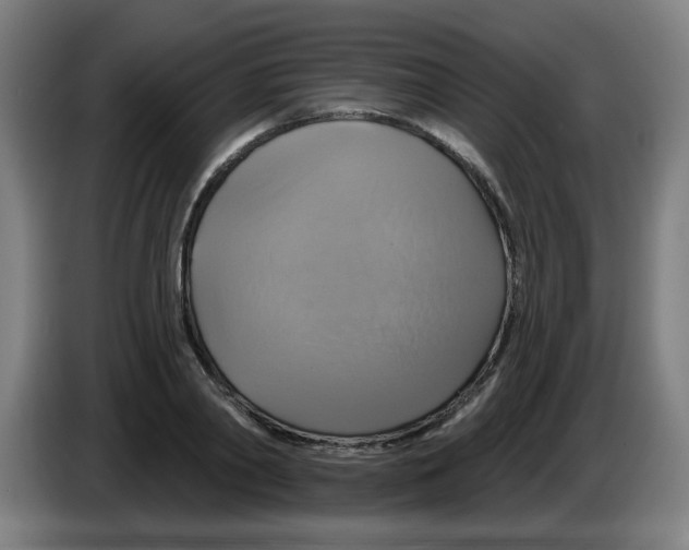 X0000086220790200704261835