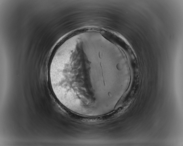 X0000086220791200704261835