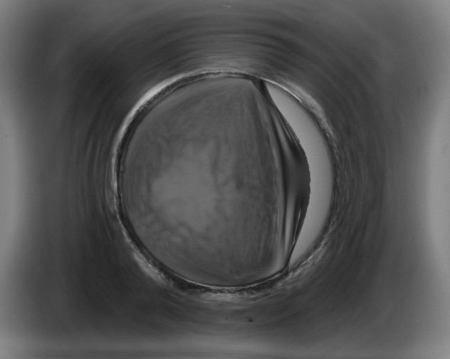 X0000086220792200704261835