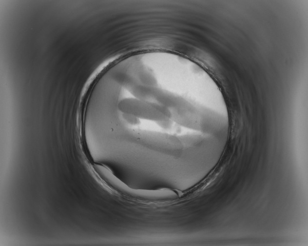 X0000086220796200704261835