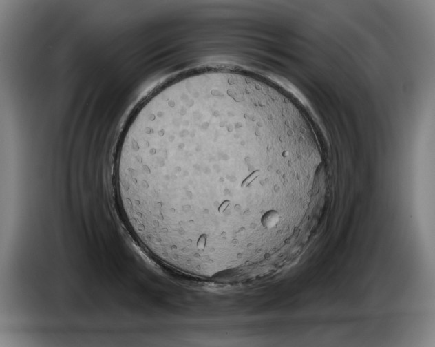 X0000086220799200704261835