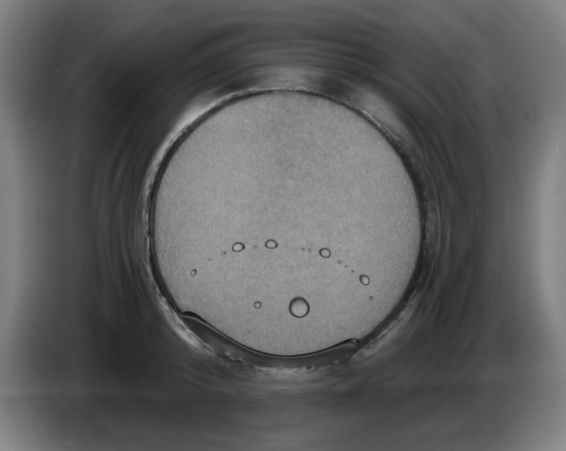 X0000086220800200704261835