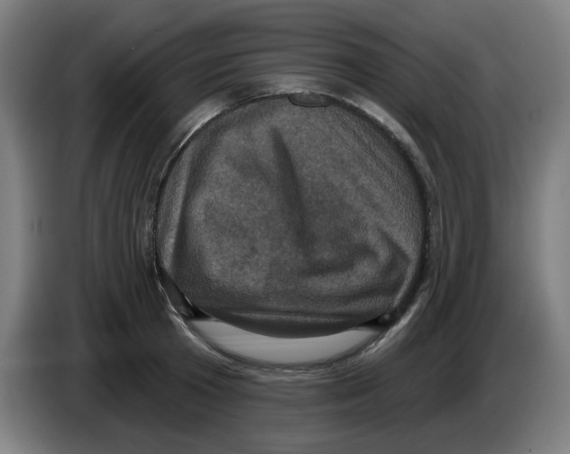 X0000086220801200704261835