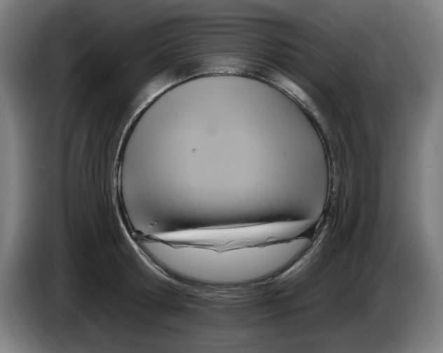 X0000086220802200704261835