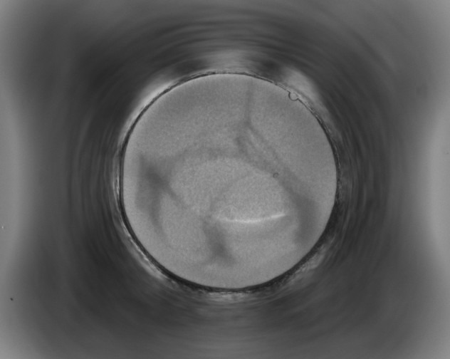 X0000086220804200704261835