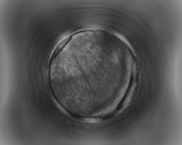 X0000086220805200704261835