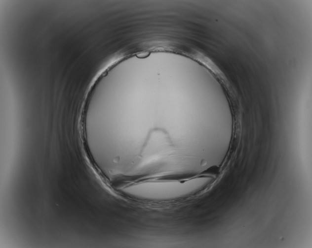 X0000086220806200704261835