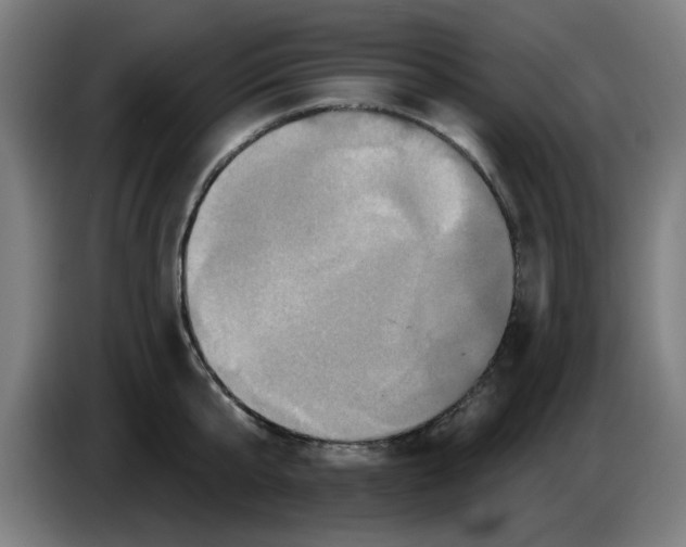 X0000086220807200704261835