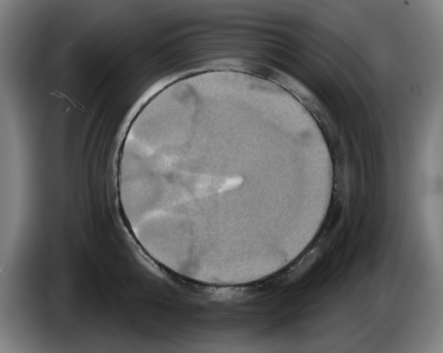 X0000086220808200704261835