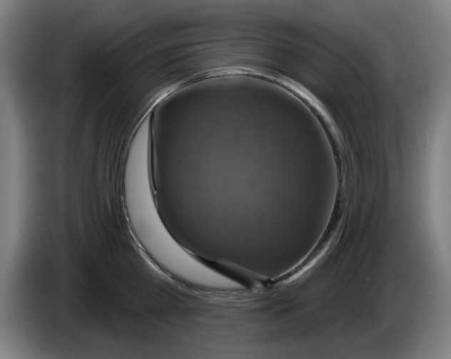 X0000086220809200704261835