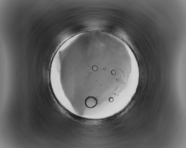 X0000086220810200704261835